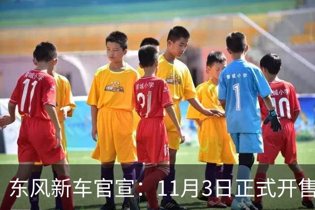 东风新车官宣：11月3日正式开售，纯电续航600km