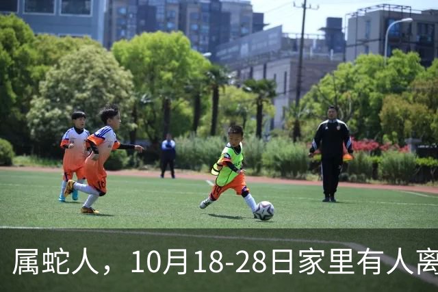 属蛇人，10月18-28日家里有人离开，别哭！是老天帮你清除负担