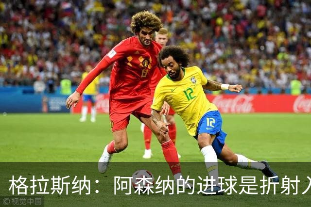 格拉斯纳：阿森纳的进球是折射入网的，否则塞尔斯会将球没收