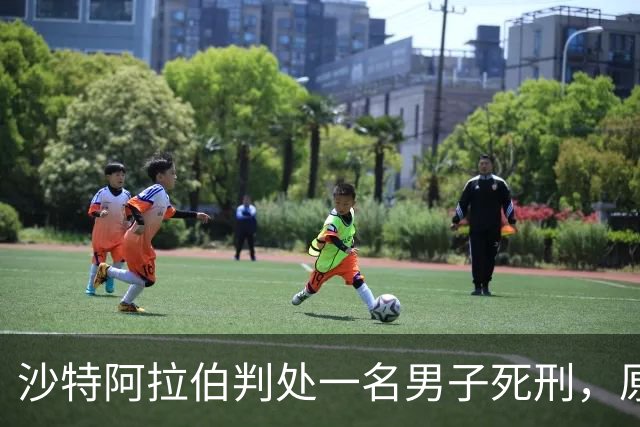 沙特阿拉伯判处一名男子死刑，原因是他在15岁时参加了抗议活动