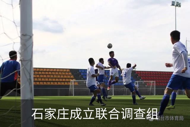 石家庄成立联合调查组