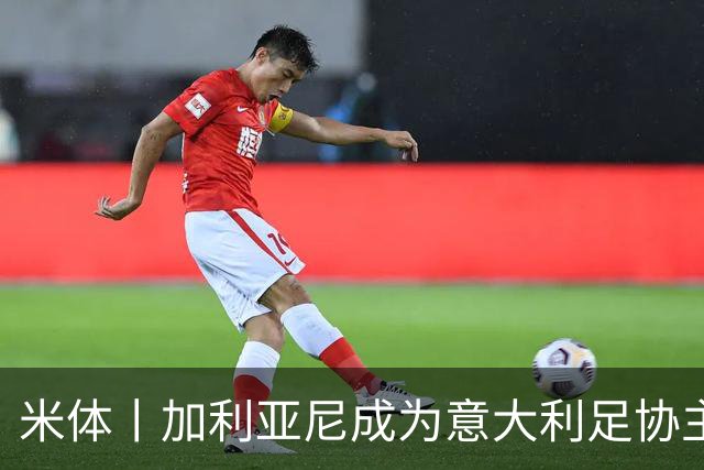 米体丨加利亚尼成为意大利足协主席热门人选