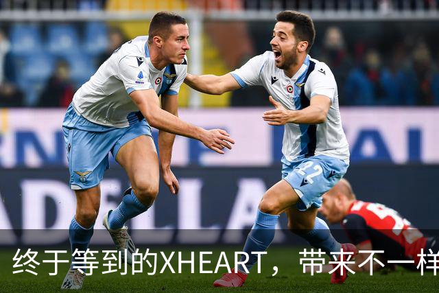 终于等到的XHEART，带来不一样的大模型芯片视角
