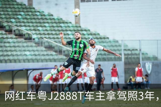 网红车粤J2888T车主拿驾照3年，全车多次维修，伤痕累累！已自驾多地，对自己的车技很有信心