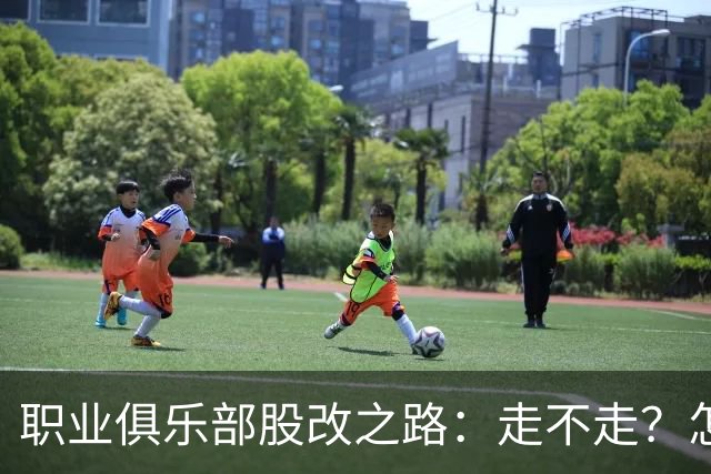职业俱乐部股改之路：走不走？怎么走？