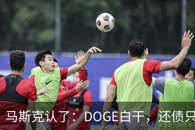 马斯克认了：DOGE白干，还债只能靠AI和机器人