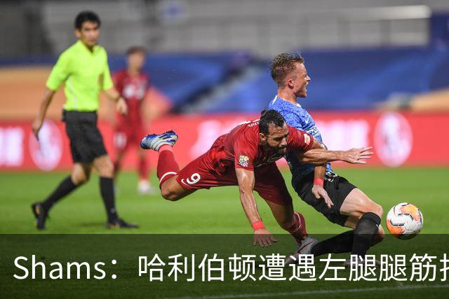 Shams：哈利伯顿遭遇左腿腿筋拉伤 将至少缺席两周