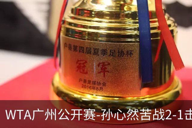 WTA广州公开赛-孙心然苦战2-1击败7号种子 首进巡回赛八强